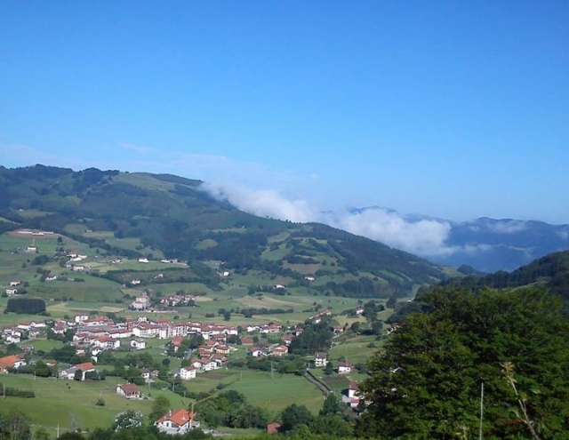 vista aerea de un pueblo entre arboles